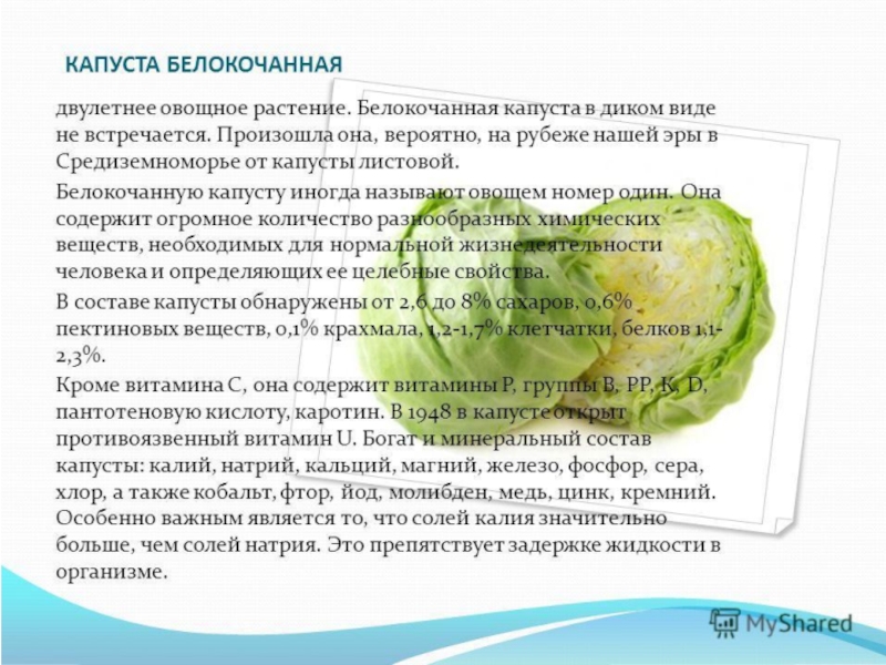 Овощи, плоды, грибы