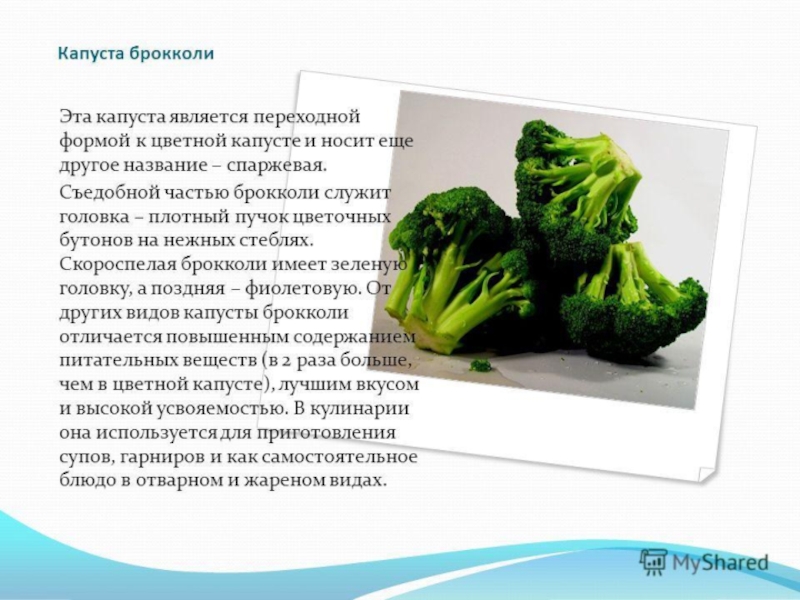 Овощи, плоды, грибы