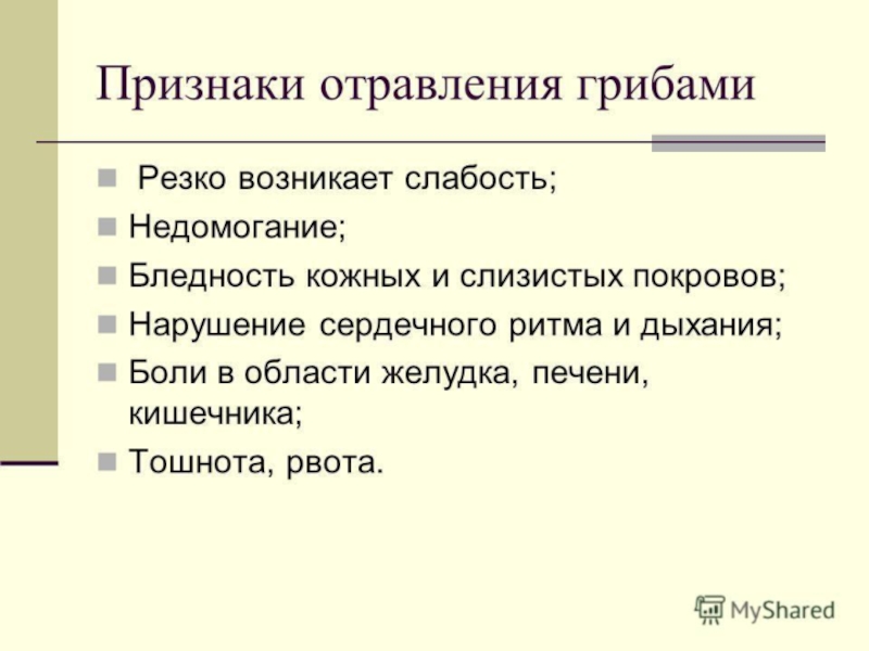 Овощи, плоды, грибы