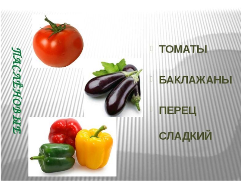 Овощи, плоды, грибы