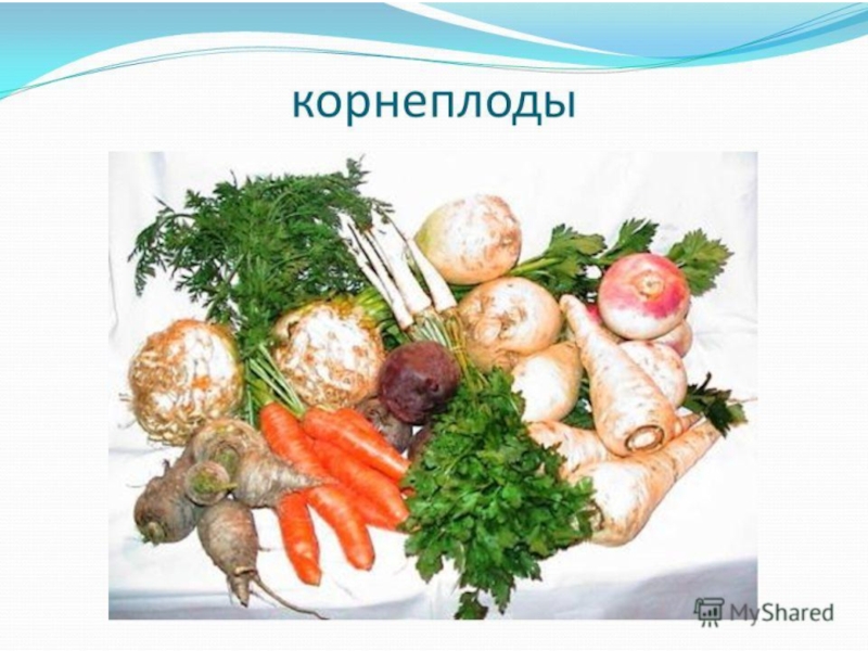 Овощи, плоды, грибы