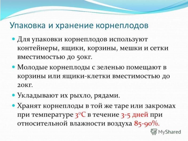 Овощи, плоды, грибы