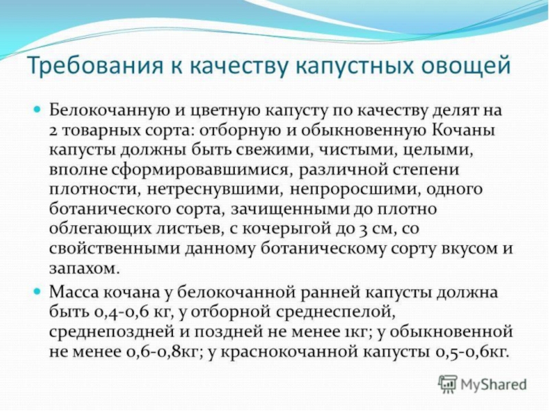 Овощи, плоды, грибы