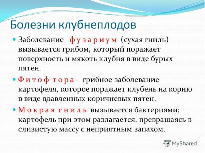 Овощи, плоды, грибы