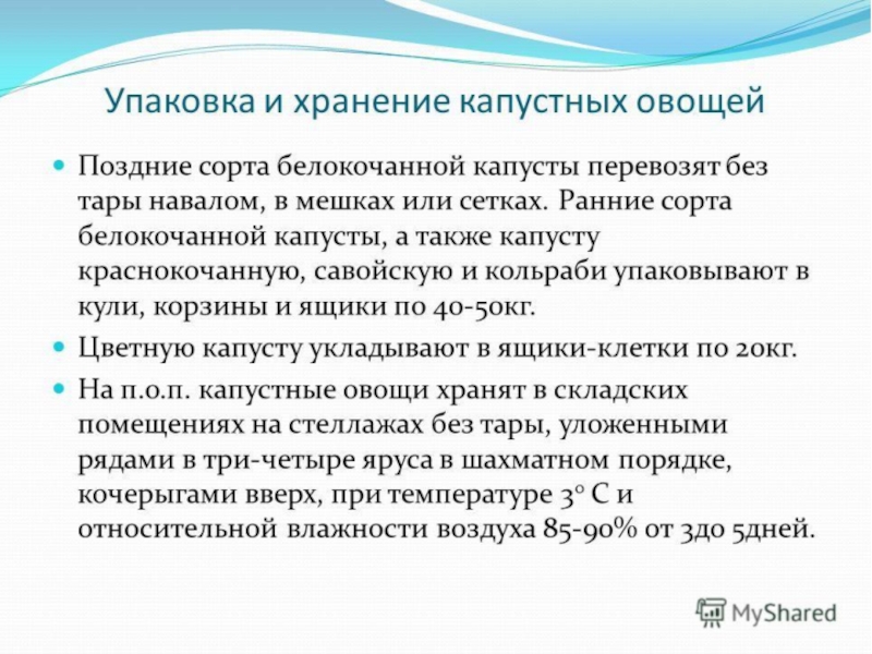 Овощи, плоды, грибы