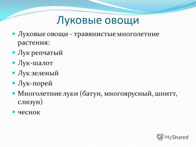 Овощи, плоды, грибы