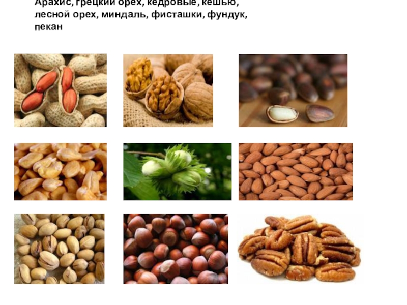 Овощи, плоды, грибы Арахис, грецкий орех, кедровые, кешью, лесной орех, миндаль, фисташки, фундук, пекан Арахис, грецкий орех, кедровые, кешью, лесной орех, миндаль, фисташки, фундук, пекан