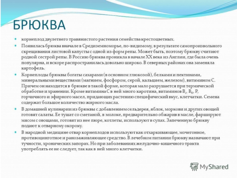 Овощи, плоды, грибы