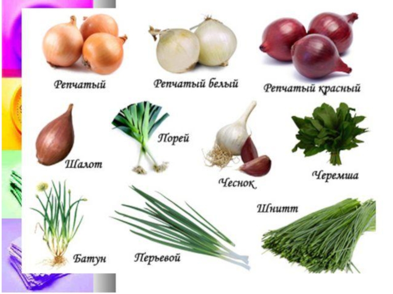 Овощи, плоды, грибы
