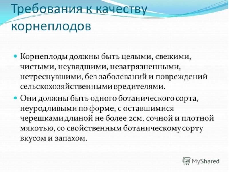 Овощи, плоды, грибы