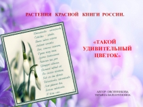 Презентация: Такой удивительный цветок