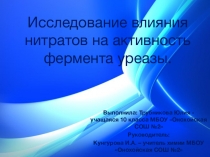 Презентация к исследовательской работе по биологии Изучение влияния нитратов на активность фермента уреазы
