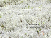 Презентация по краеведению в 3классе Пера - богатырь – герой коми сказок и легенд.