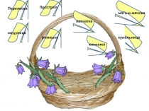 Исследовательская деятельность младших школьников как средство формирования учебно-познавательных компетенций младших школьников.Презентация