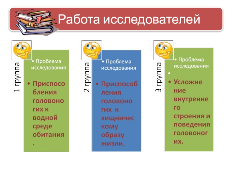 Презентпция по биологии на тему Моллюски (7 класс) Работа исследователей Работа исследователей