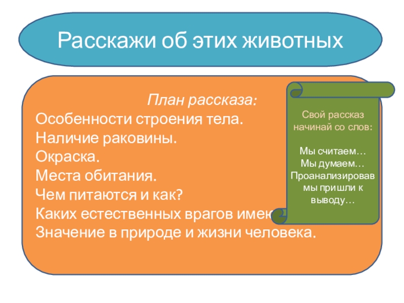 Презентпция по биологии на тему Моллюски (7 класс) Расскажи об этих животныхПлан рассказа:Особенности строения тела.Наличие раковины.Окраска.Места обитания.Чем питаются и Расскажи об этих животныхПлан рассказа:Особенности строения тела.Наличие раковины.Окраска.Места обитания.Чем питаются и как?Каких естественных врагов имеют?Значение в природе