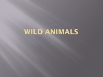 Wild animals