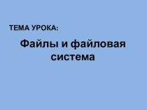 Презентация Файлы и файловая система (Информатика, 8 класс)
