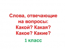 Презентация по русскому языку на тему Слова, отвечающие на вопросы: Какой? Какая? Какое? Какие?.