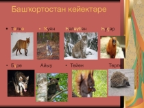 Изучение произведения Нугмана Мусина Коралайзар
