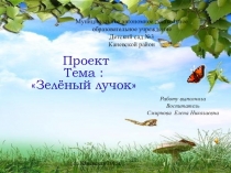 Презентация Педагогический проект Зелёный лучок