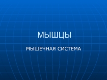Презентация по биологии 8 класс Мышечная система