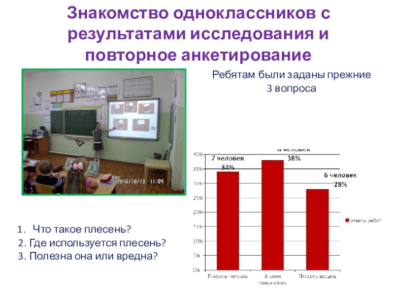 Презентация по окружающему мируПлесень - опасная или добрая соседка? Знакомство одноклассников с результатами исследования и повторное анкетированиеРебятам были заданы прежние Знакомство одноклассников с результатами исследования и повторное анкетированиеРебятам были заданы прежние