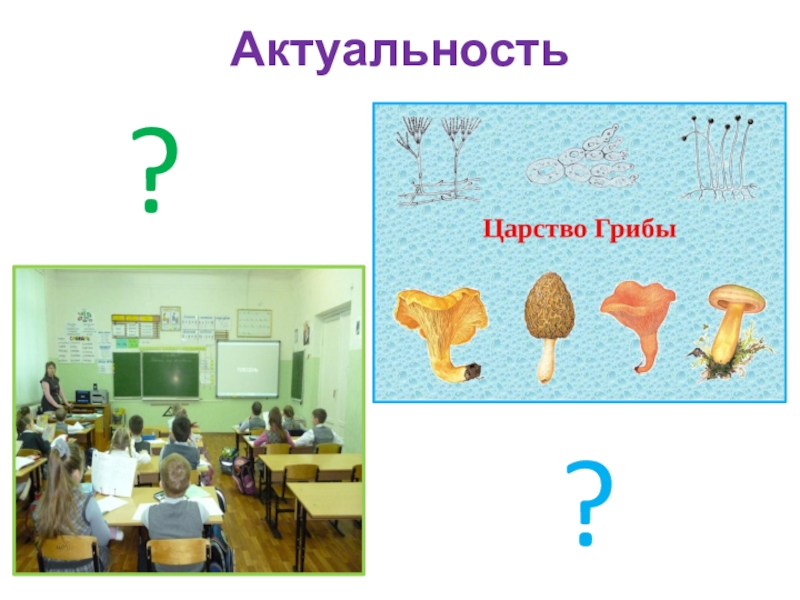 Презентация по окружающему мируПлесень - опасная или добрая соседка? Актуальность?? Актуальность??