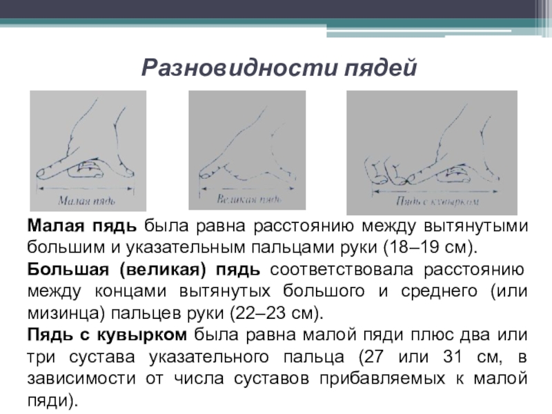 Презентация исследовательской работы по математике ученика 5 класса на тему Древнерусские антропоцентрические меры длины Разновидности пядейМалая пядь была равна расстоянию между вытянутыми большим и указательным Разновидности пядейМалая пядь была равна расстоянию между вытянутыми большим и указательным пальцами руки (18–19 см). Большая (великая)