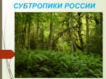 Презентация по теме Субтропики ( 2-3 класс)