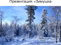 Презентация по итогам проекта Зимушка-зима