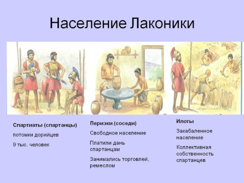 Древняя Спарта к учебнику Уколова В.И.