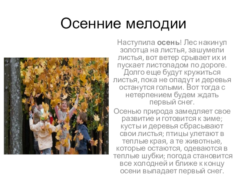 Презентация на тему Осенние мелодииНаступила осень! Лес накинул золотца на листья, зашумели Осенние мелодииНаступила осень! Лес накинул золотца на листья, зашумели листья, вот ветер срывает их и пускает листопадом по