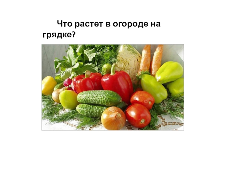 Презентация к занятию по формированию целостной картины мира Осенние мелодии. Что растет в огороде на грядке? Что растет в огороде на грядке?