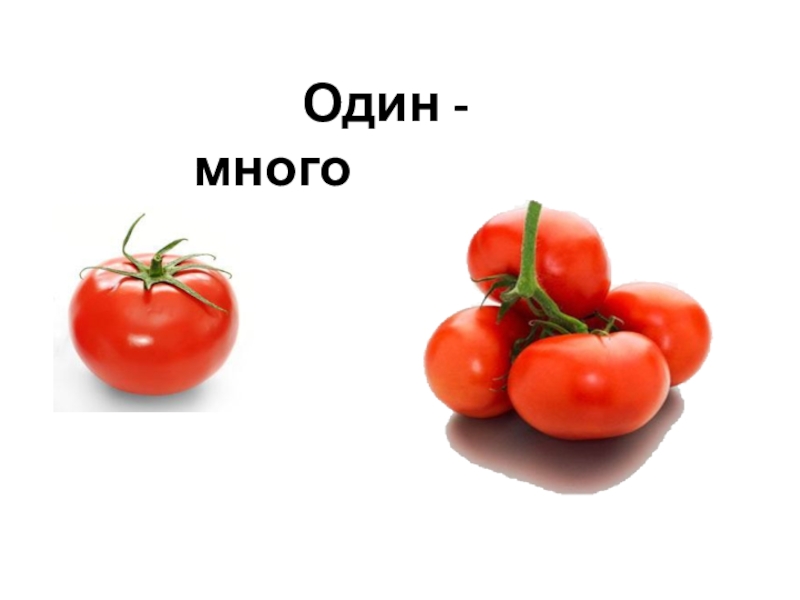 Презентация к занятию по формированию целостной картины мира Осенние мелодии. Один - много Один - много