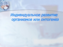 Презентация по биологии на тему Индивидуальное развитие организмов - онтогенез