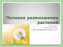 Презентация половое размножение растений