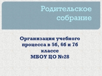 Презентация к выступлению на родительском собрании Организация учебного процесса в 5б, 6б и 7б классе