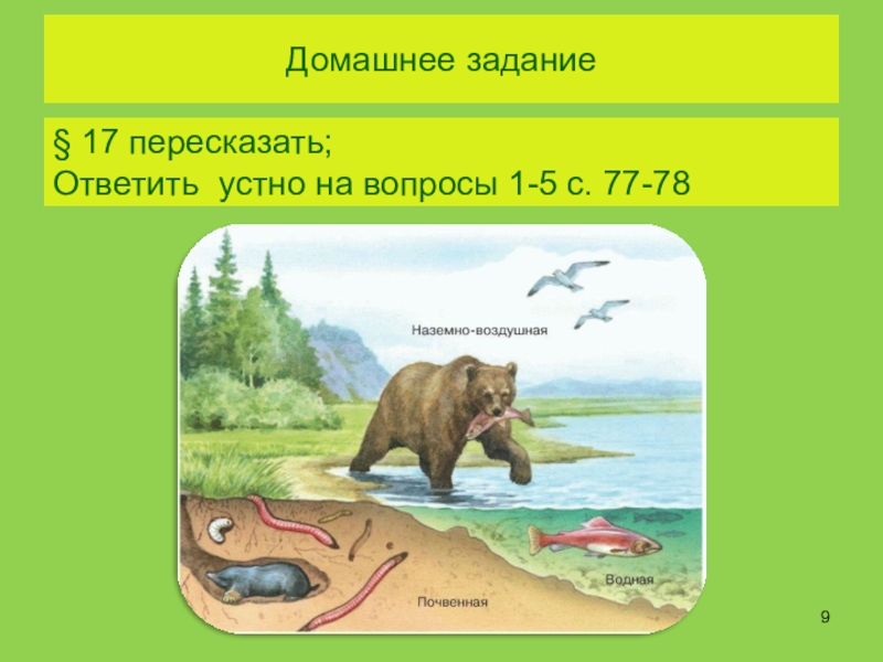 Среды жизни планеты Земля Домашнее задание§ 17 пересказать;Ответить устно на вопросы 1-5 с. 77-78 Домашнее задание§ 17 пересказать;Ответить устно на вопросы 1-5 с. 77-78