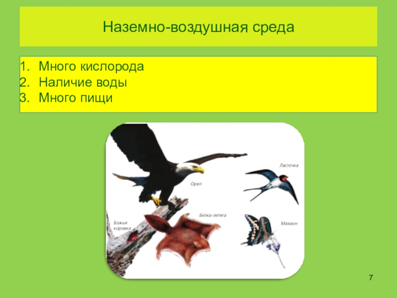 Среды жизни планеты Земля Наземно-воздушная средаМного кислородаНаличие водыМного пищи Наземно-воздушная средаМного кислородаНаличие водыМного пищи
