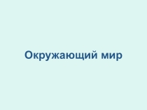 Презентация по окружающему миру Что такое Бенилюкс?