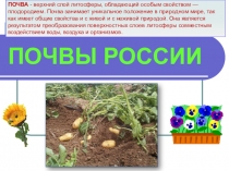 Презентация по географии на тему Почвы России (8 класс)