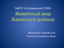 2. Презентация к конспекту внеклассного мероприятия педагогического проекта Интегрированное внеклассное мероприятие английского языка и окружающего мирадля расширения знаний о Баевском районе