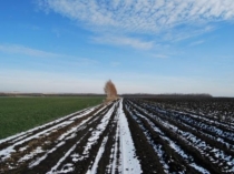 Презентация к уроку литературного чтения по произведению С. Иванова Каким бывает снег