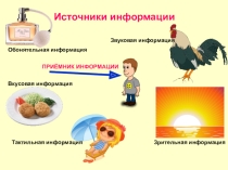 Презентация по информатике на тему: Источники информации. Приёмники информации