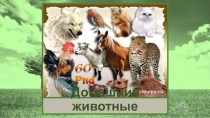 Игра на развитие ВПФ Домашние животные