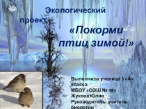 Презентация к открытому уроку Покорми птиц зимой