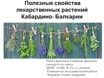 Презентация  Лекарственные растения