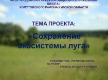 Презентация проекта: Сохранение экосистемы луга