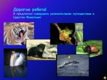 Презентация проекта по окружающему миру Мир животных